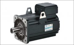 Servo motor